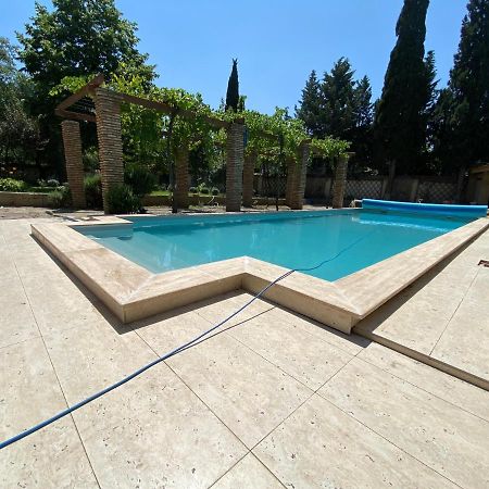 Rare House With Garden Villa Тбилиси Екстериор снимка