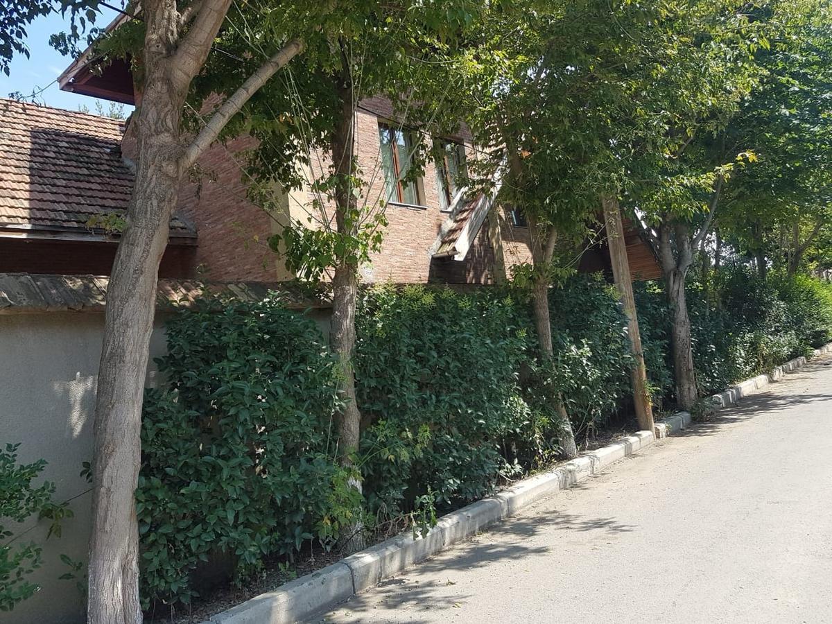 Rare House With Garden Villa Тбилиси Екстериор снимка