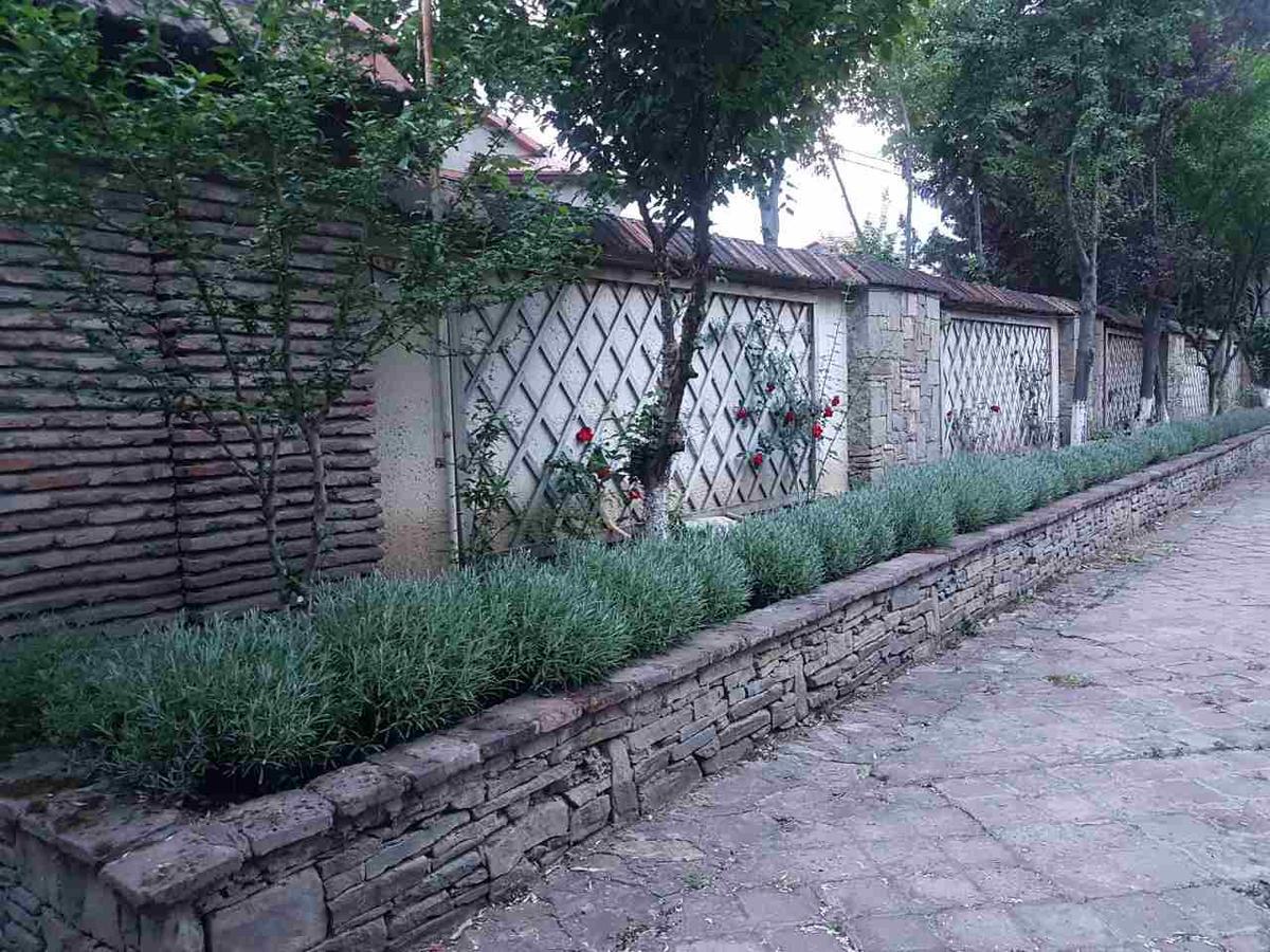 Rare House With Garden Villa Тбилиси Екстериор снимка