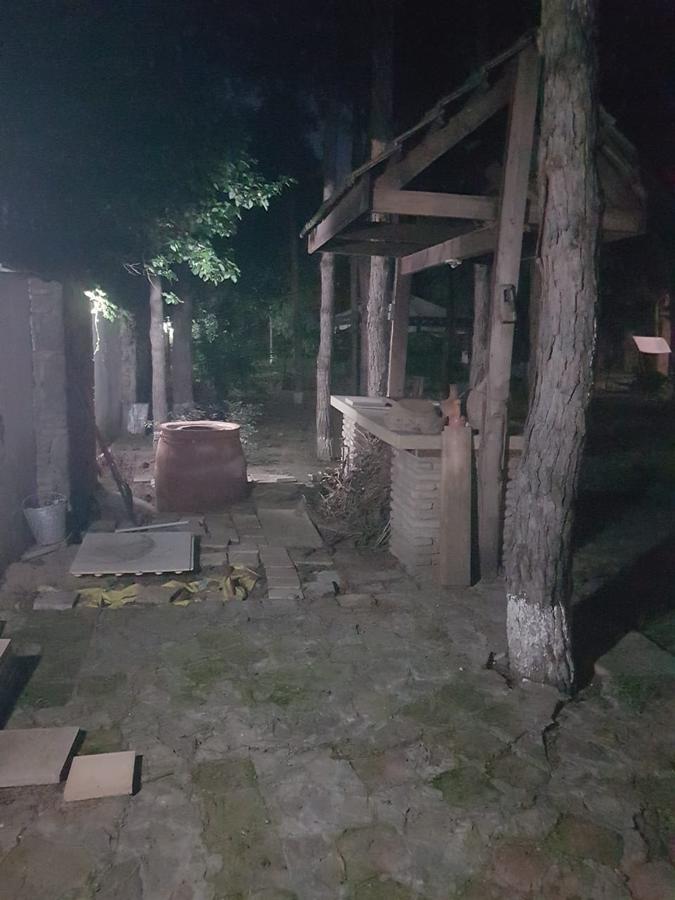 Rare House With Garden Villa Тбилиси Екстериор снимка