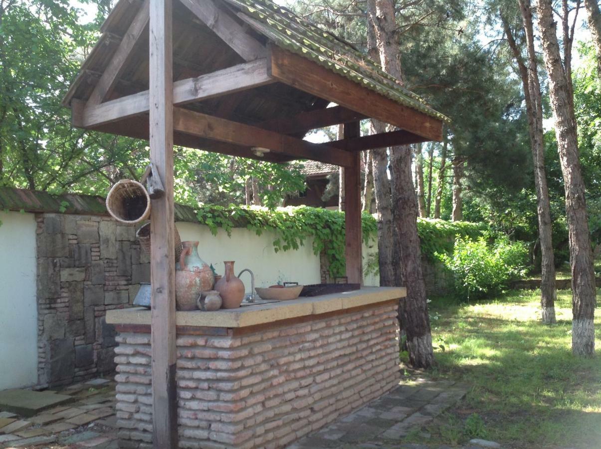 Rare House With Garden Villa Тбилиси Екстериор снимка
